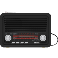 

Радиоприемник "RITMIX" (RPR-030 Black)