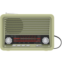 

Радиоприемник "RITMIX" (RPR-030 Gold)