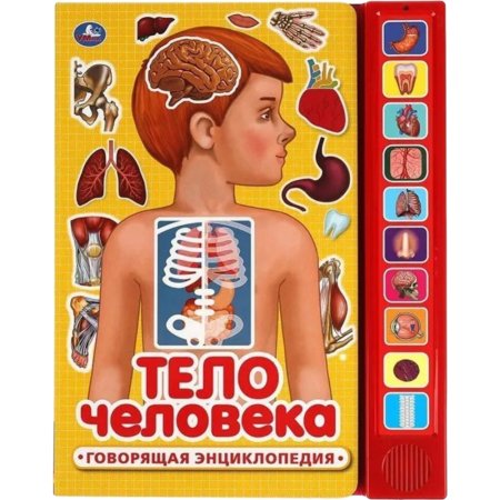 «Тело человека» 10 кнопок