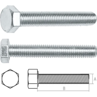 

Болт "STARFIX" (М20х120, 5 кг., 8.8)