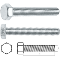 

Болт "STARFIX" (М20х70, 5 кг., 5.8)