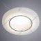 Точечный светильник «Arte Lamp» Alioth, A7991PL-1WH