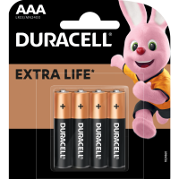 

Эл.питания"DURACELL"(LR03/MN2400 4BP CN)