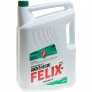 Антифриз «Felix» Prolonger G11, 430206021, зеленый, 10 кг