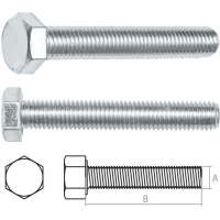 

Болт "STARFIX" (М20х90, 5 кг., 8.8)