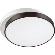 Светильник-тарелка «Lumion» Agatha, Ledio LN20 045, 4509/72CL, белый/черный