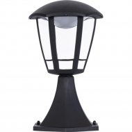Уличный светильник «Arte Lamp» Enif, A6064FN-1BK