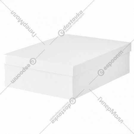 Коробка с крышкой «Тьена» 25x35x10 см, белый