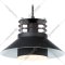 Подвесной светильник «Ambrella light» TR8172 BK, черный