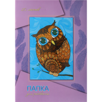 

Папка д/рис."СОВА НА ВЕТКЕ"(А4,20л,блес)