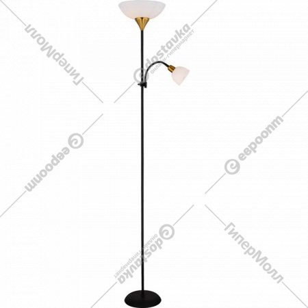 Напольный светильник «Arte Lamp» Duetto, A9569PN-2BK