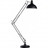 Напольный светильник «Arte Lamp» Goliath, A2487PN-1BK