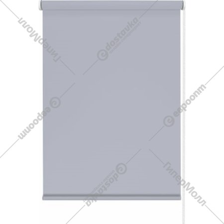 Рулонная штора «Эскар» Лайт, 76850481601, серый, 48х160 см
