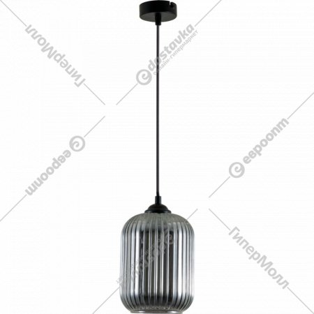 Подвесной светильник «Arte Lamp» Arwen, A1902SP-1BK