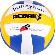 Мяч волейбольный «Darvish» RVB-001, DV-S-28