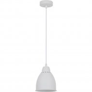 Подвесной светильник «Arte Lamp» Braccio, A2054SP-1WH