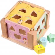 Развивающая игрушка «Darvish» Сортер: Куб, DV-T-1611