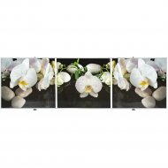 Экран для ванны «Comfort Alumin» Орхидея на черном 3D, 170х50 см