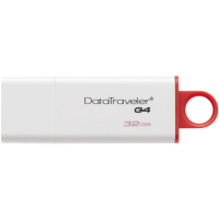 

USB флеш "KINGSTON" (DTIG4/16GB)