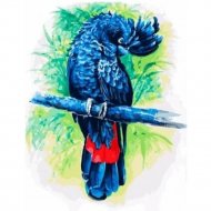Картина по номерам «Белоснежка» Синий попугай, 362-AS, 30х40 см
