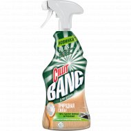 Средство чистящее «Cillit Bang» с содой, 450 мл