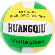 Волейбольный мяч «Toys» BTB1254298, 22 см