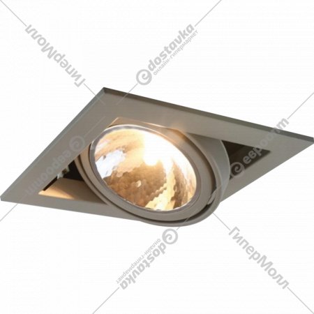 Точечный светильник «Arte Lamp» Cardani Semplice, A5949PL-1GY