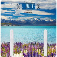 

Весы напольные"SCARLETT" (SC-BS33ED11)