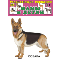 

Карточки "ДОМ.ЖИВОТНЫЕ. МАМЫ И ДЕТКИ"