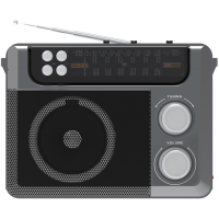 

Радиоприёмник"RITMIX"(RPR-200 Grey)