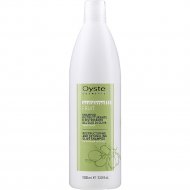 Шампунь для волос «Oyster» Sublime Fruit Restructuring and Detangling Olive, для легкого расчесывания волос, OYSH07100500, 1 л