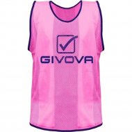 Манишка спортивная «Givova» Casacca Pro Allenamento, размер S, розовый, CT01