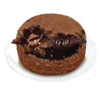 product-no-image-979404