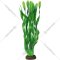 Искусственное растение для аквариума «Laguna AQUA» Валлиснерия, 74044050, зеленый, 350 мм