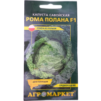 

Семена "КАПУСТА САВОЙ.РОМА ПОЛАНА" 0.1г