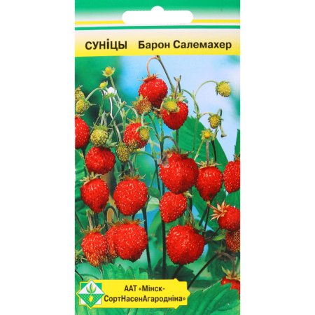 Земляника «Барон Солемахер» 100 шт.