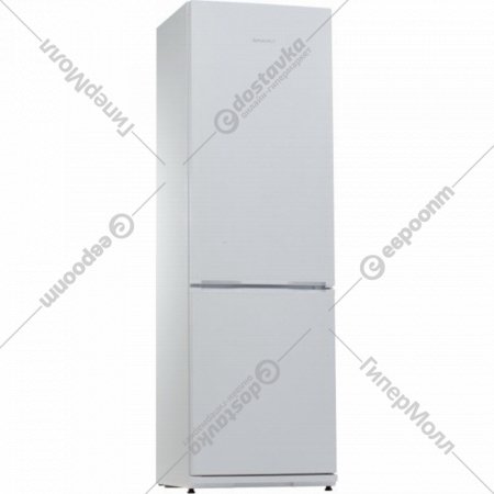 Холодильник-морозильник «Snaige» RF36SM-S0002F