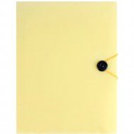 Папка «Darvish» Ice, DV-1771IE-OR, А4, желтый