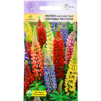 

Люпин многолист. "ГИБР. РАССЕЛА" см 1 г.