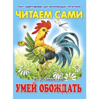 

Книга "ЧС УМЕЙ ОБОЖДАТЬ"