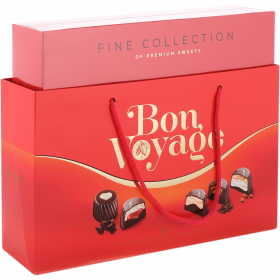 Набор конфет «Bon Voyage» Premium, 370 г