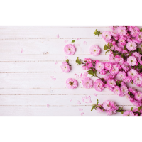 

Фотообои "FOX"(Флора)