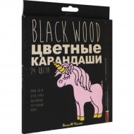 Набор цветных карандашей «Bruno Visconti» BlackWoodColor, 30-0099, 24 цвета