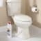 Средство для уборки туалета «Laima» Professional, 601611, с отбеливающим эффектом, 1 кг